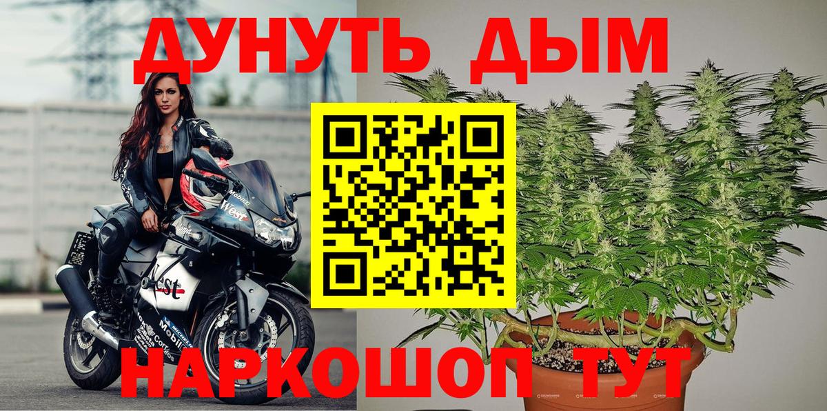 Бошки марихуана Amnesia Нерюнгри